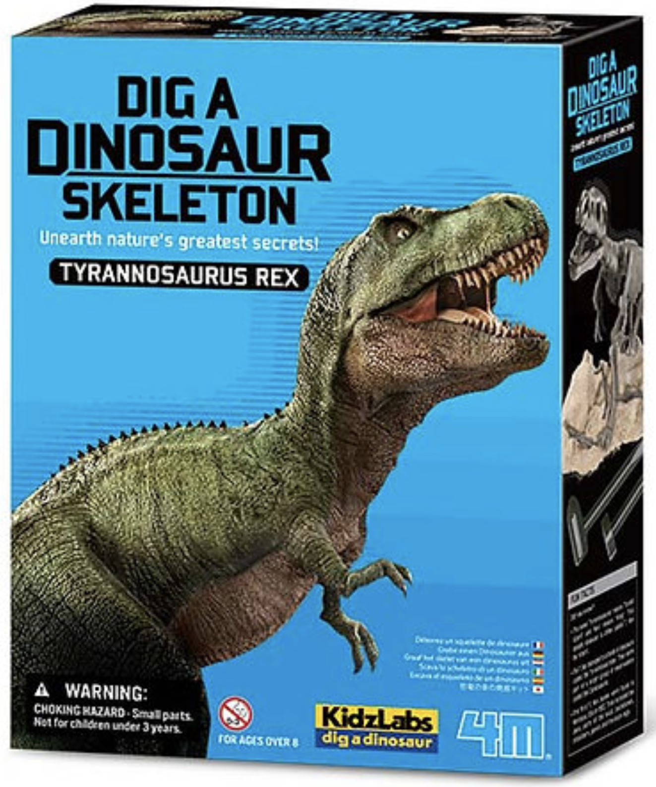 Jogo Kit Arqueologia Tiranossauro Rex 6+ – Peketitos